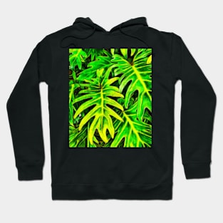 Stocksom Green Key Hoodie